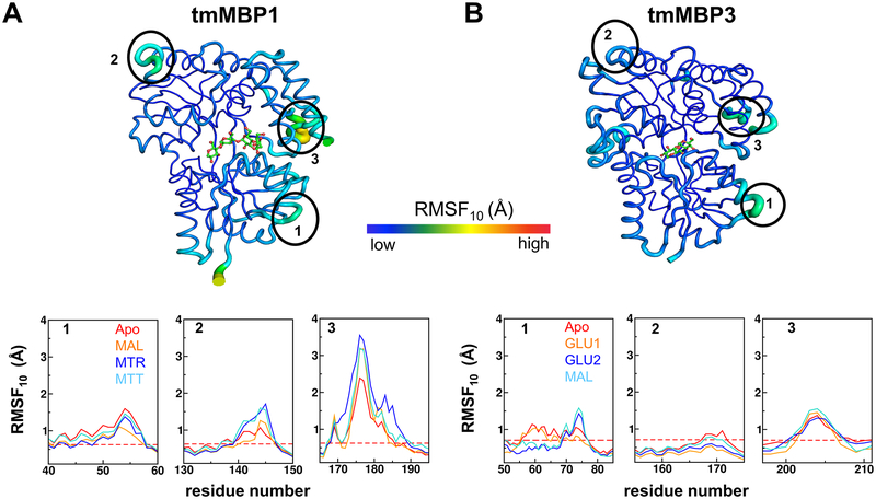 Figure 4: