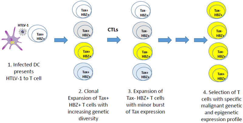 Fig 3.