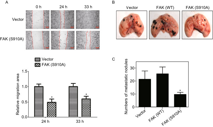 Figure 6