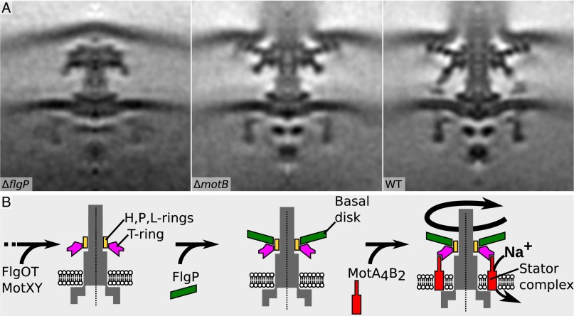 Fig. 3.