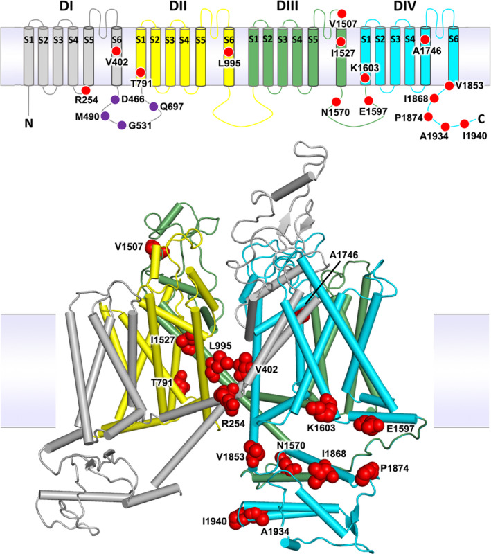 FIGURE 1