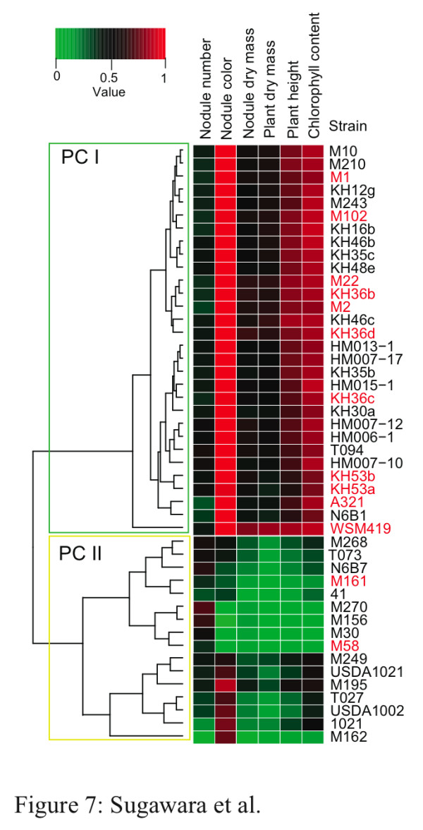 Figure 7