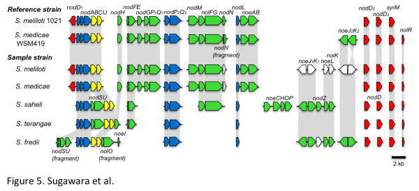 Figure 5