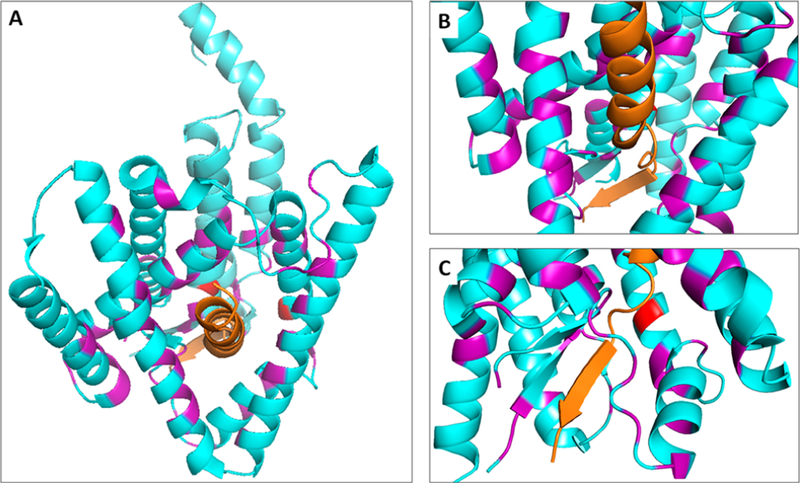 Figure 9