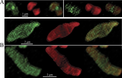FIG. 3.