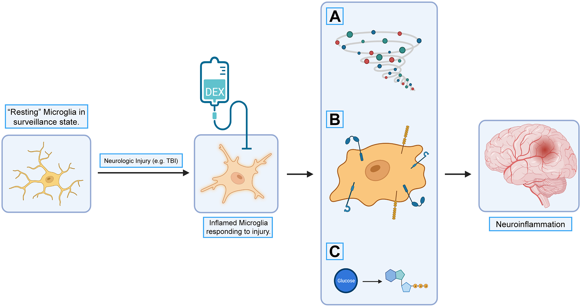 Figure 5.