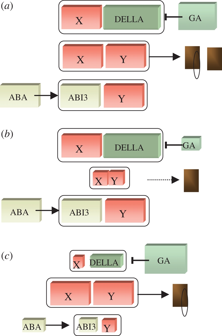 Figure 2.