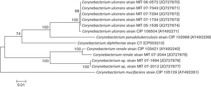 Fig. 2. 