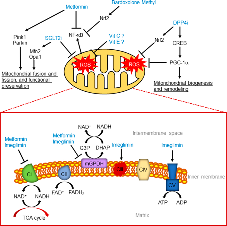 Figure 1