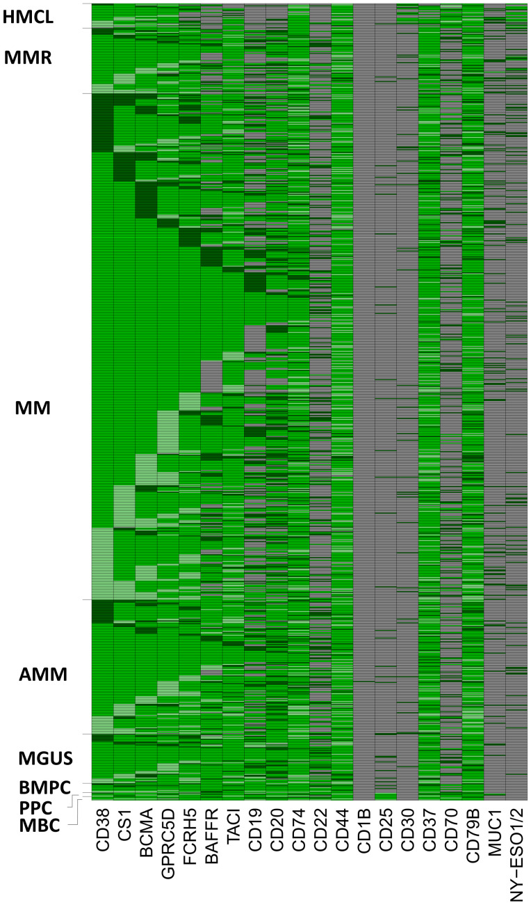 Figure 4