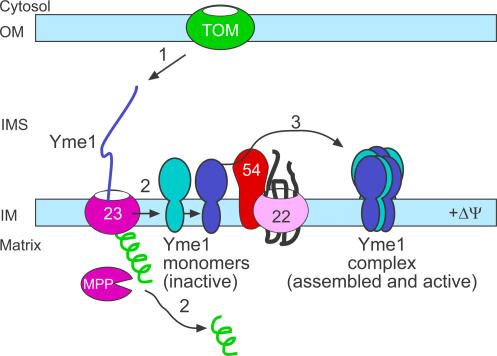 Figure 10.