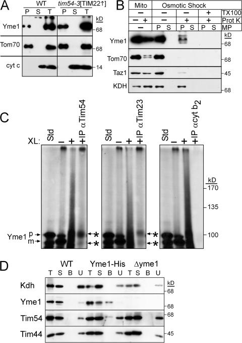 Figure 9.