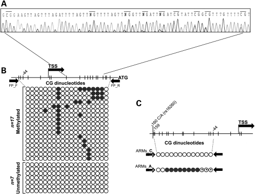 Figure 3.