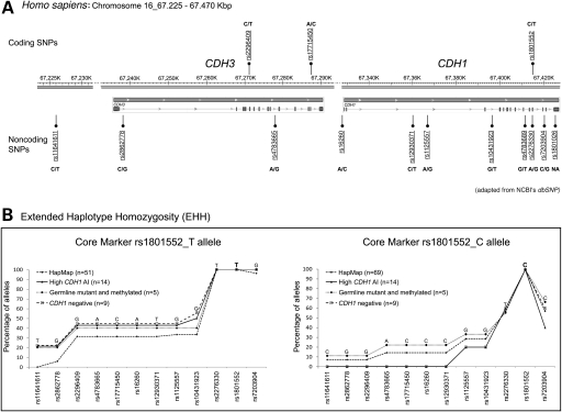 Figure 4.