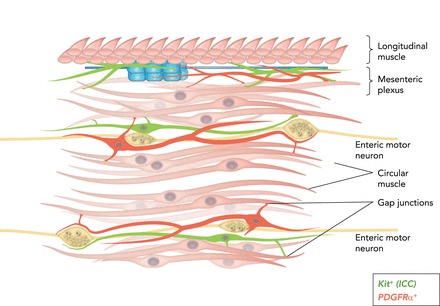 FIGURE 4.