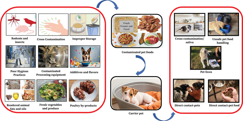 FIGURE 1