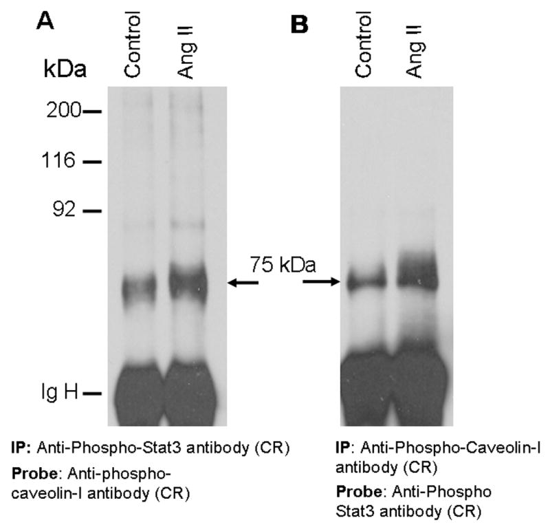 FIG. 8