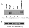 FIG. 6