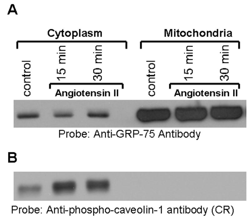 FIG. 9