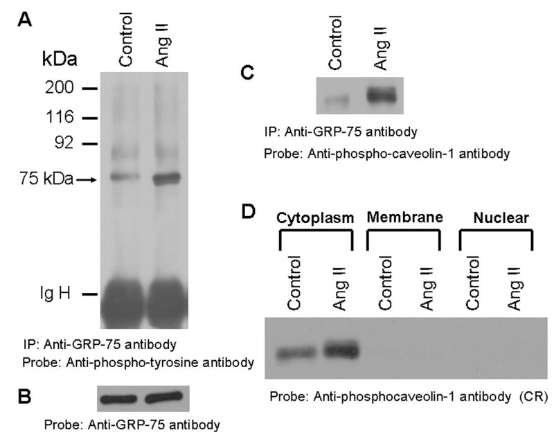 FIG. 5