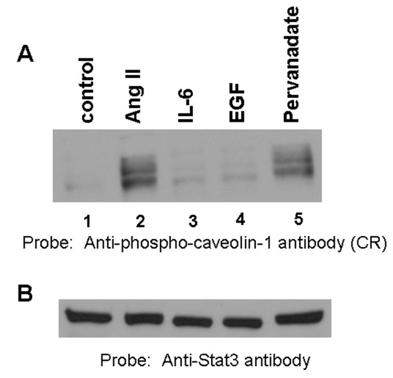 FIG. 6