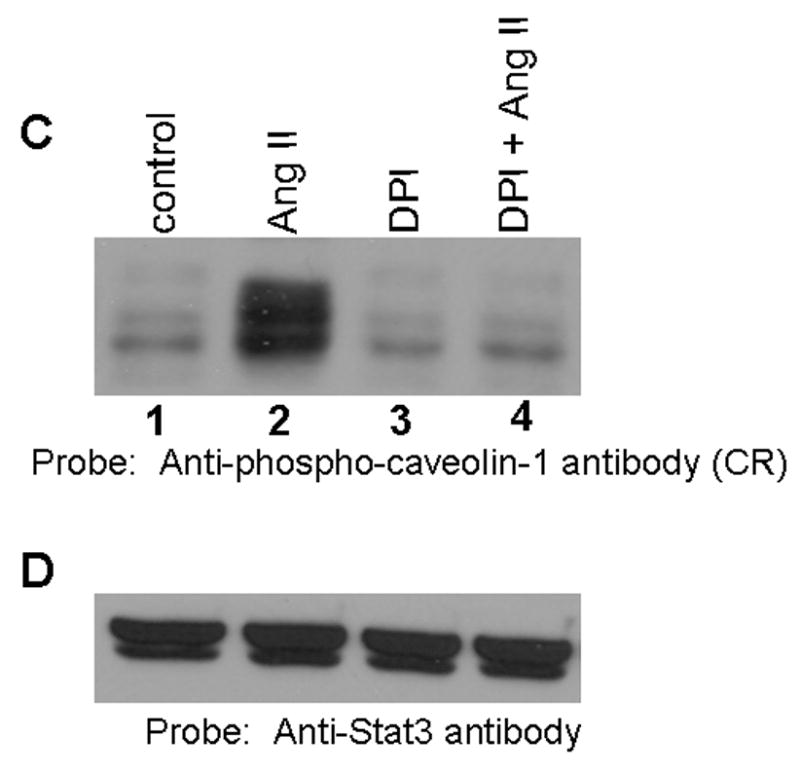 FIG. 6