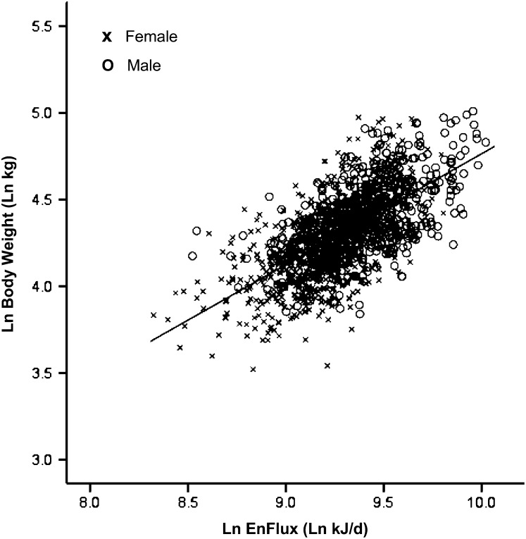 FIGURE 3