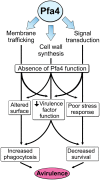Fig 8