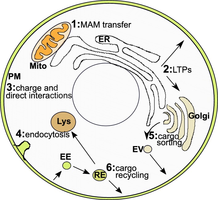 Fig. 2