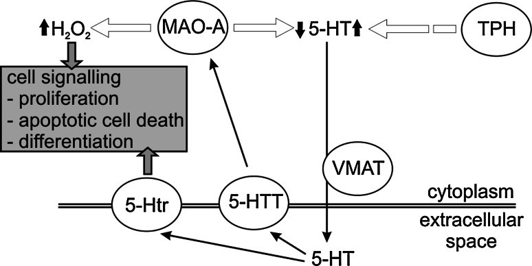 Fig. 8