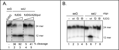 FIGURE 4.