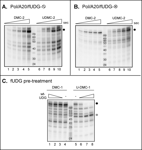 FIGURE 7.