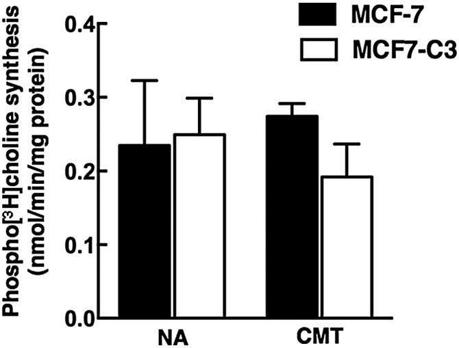 Fig. 9.