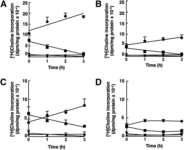 Fig. 8.