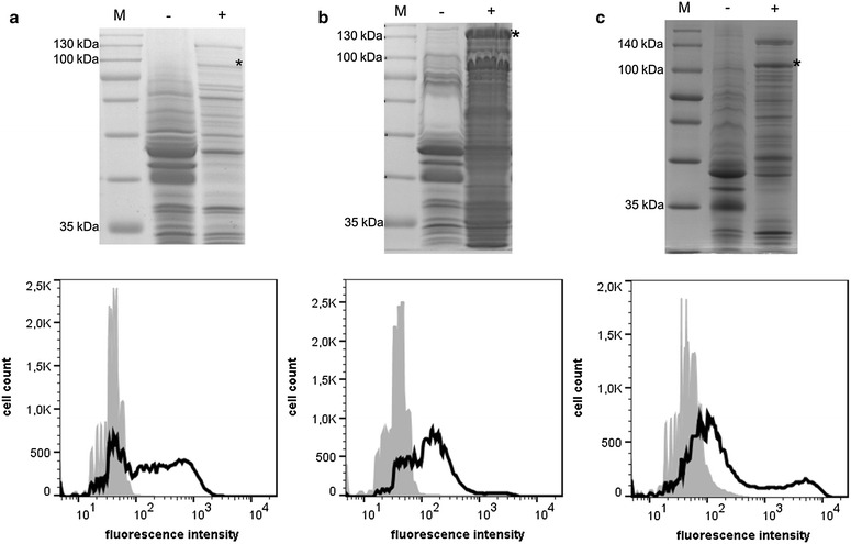 Fig. 4