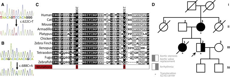 Figure 5