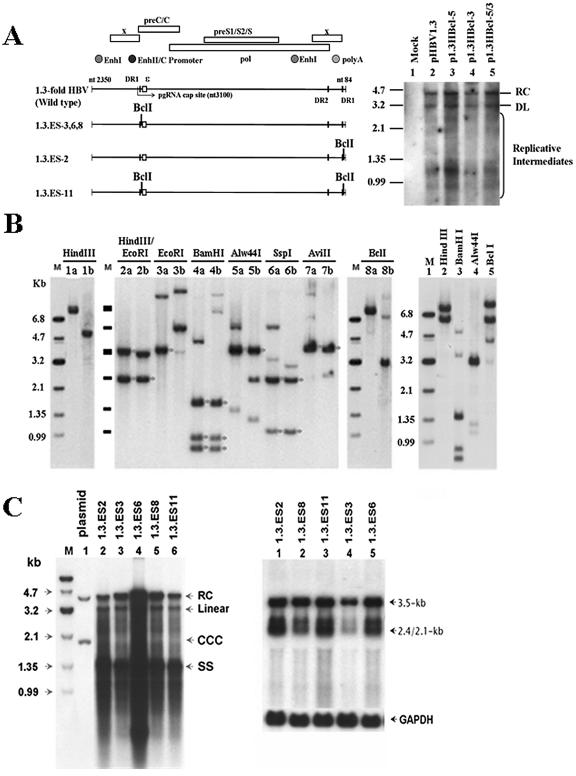 FIG. 3.