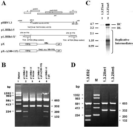 FIG. 5.