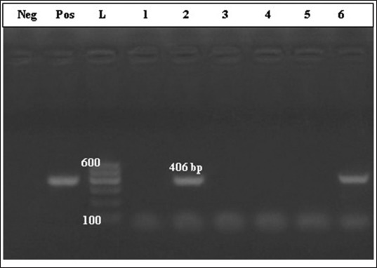 Figure-3