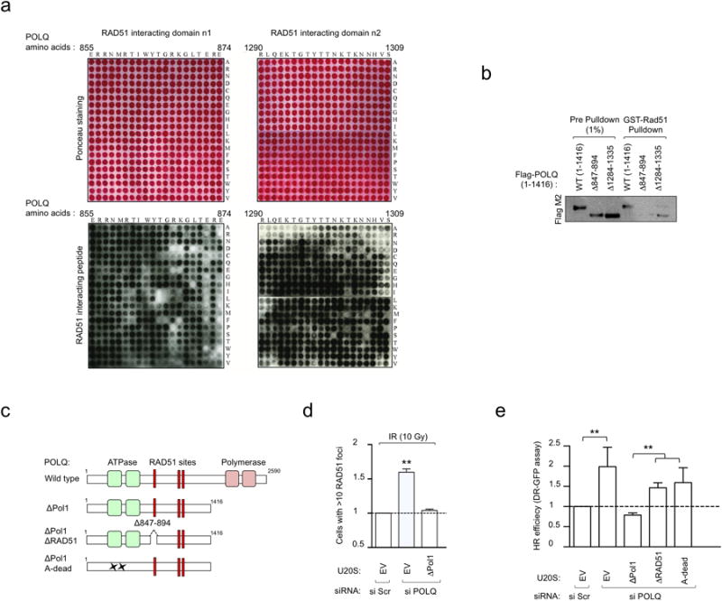 Extended Data Figure 3