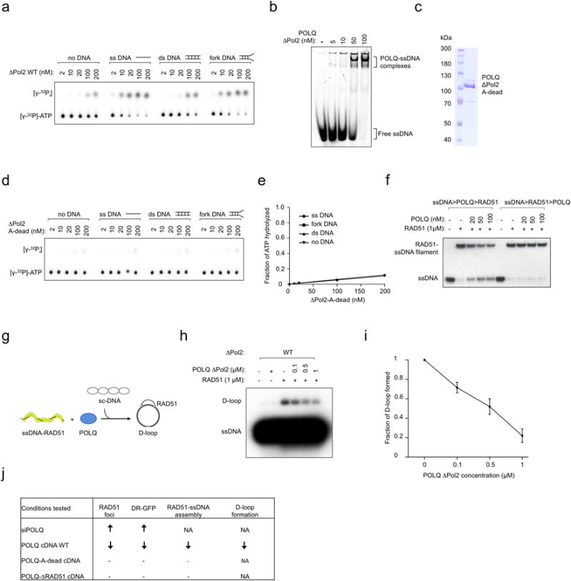 Extended Data Figure 4