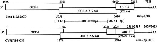 FIG. 3.