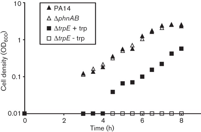 Fig. 2. 