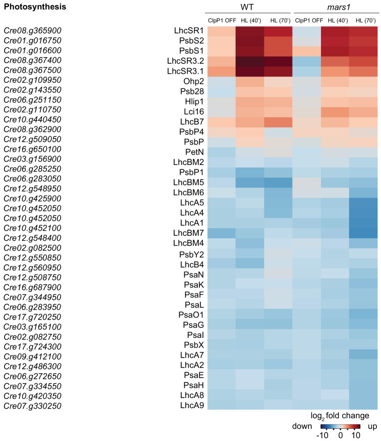 Figure 5—figure supplement 5.