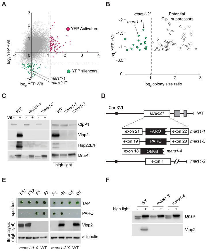 Figure 2.