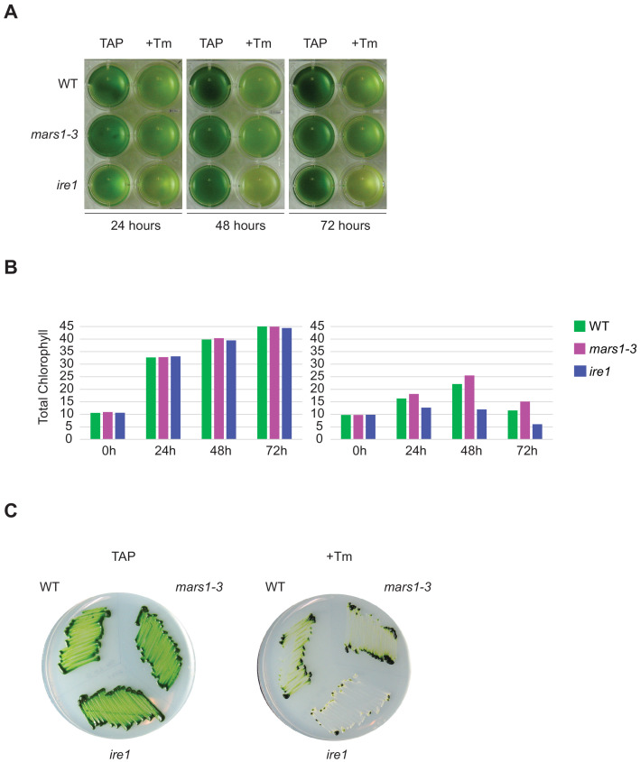 Figure 4—figure supplement 2.