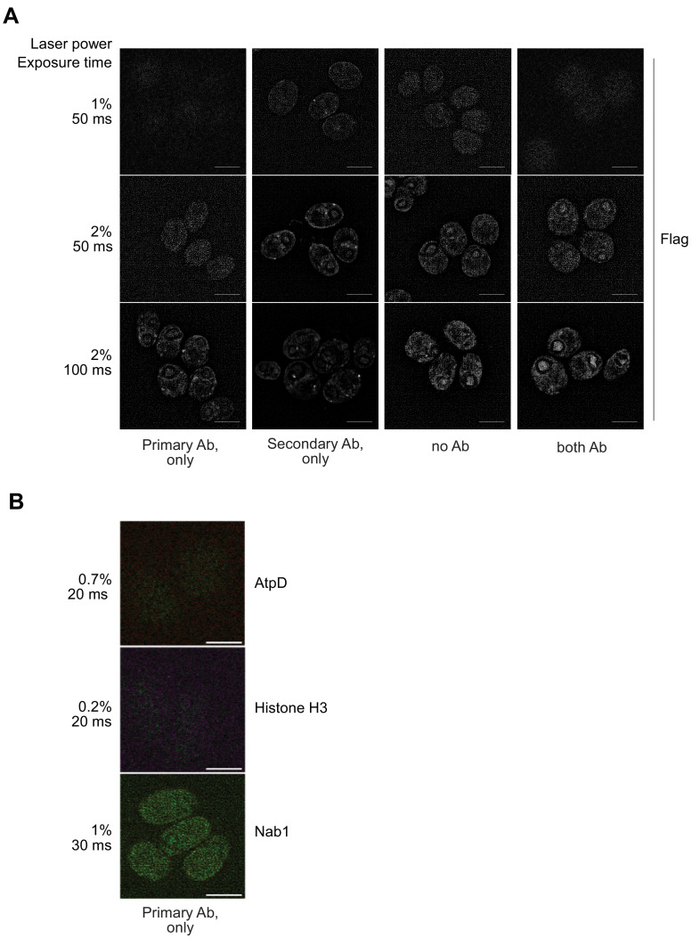 Figure 3—figure supplement 2.