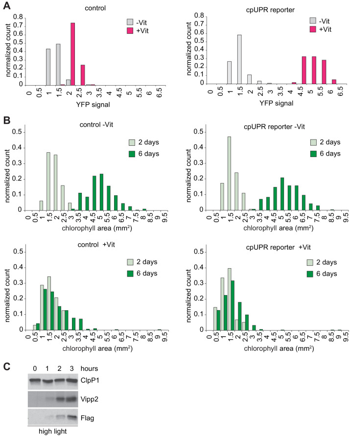 Figure 1—figure supplement 1.