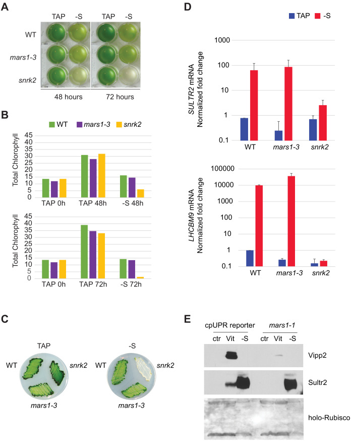 Figure 5—figure supplement 4.