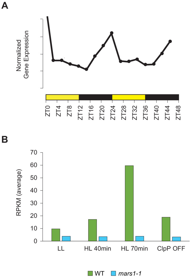 Figure 5—figure supplement 2.